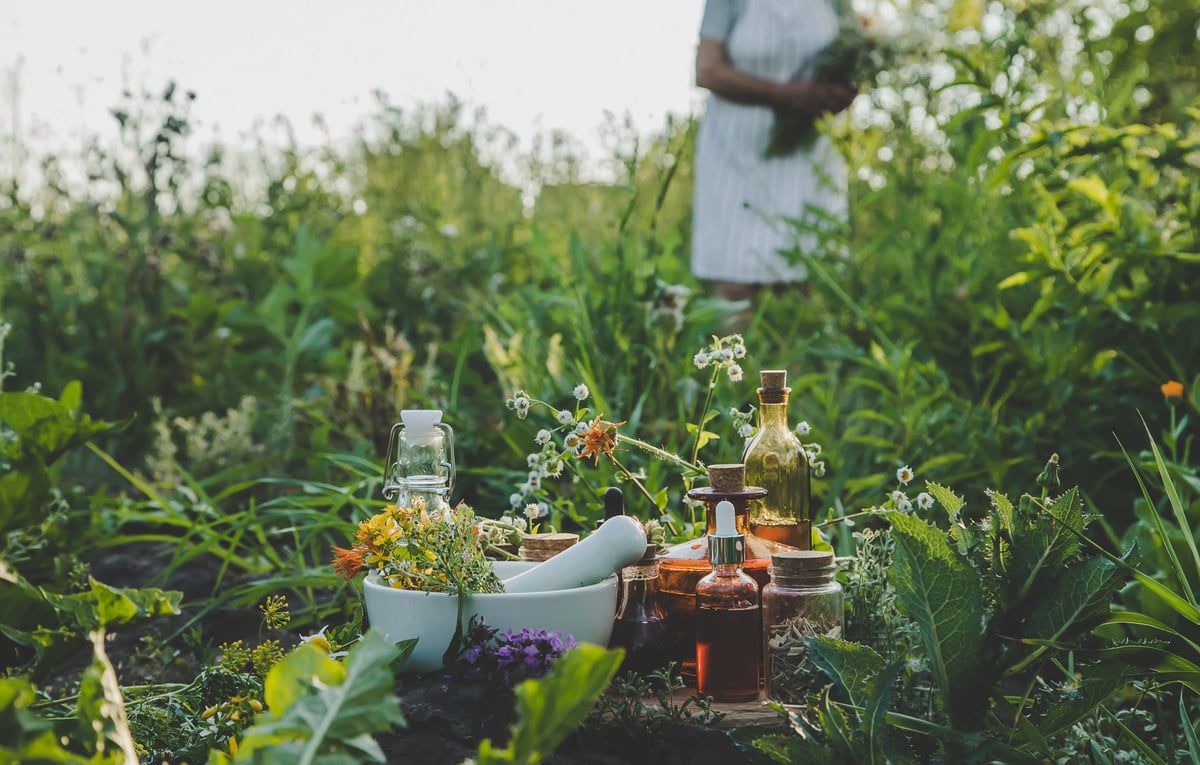 An old woman collects medicinal herbs. Selective focus. Nature.