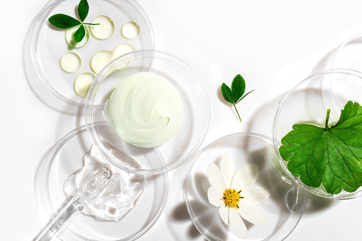 Natural skin care products swatches with green leaves and flower